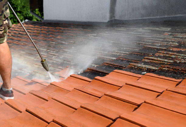 Best Residential Pressure Washing Services  in Four Corners, MT